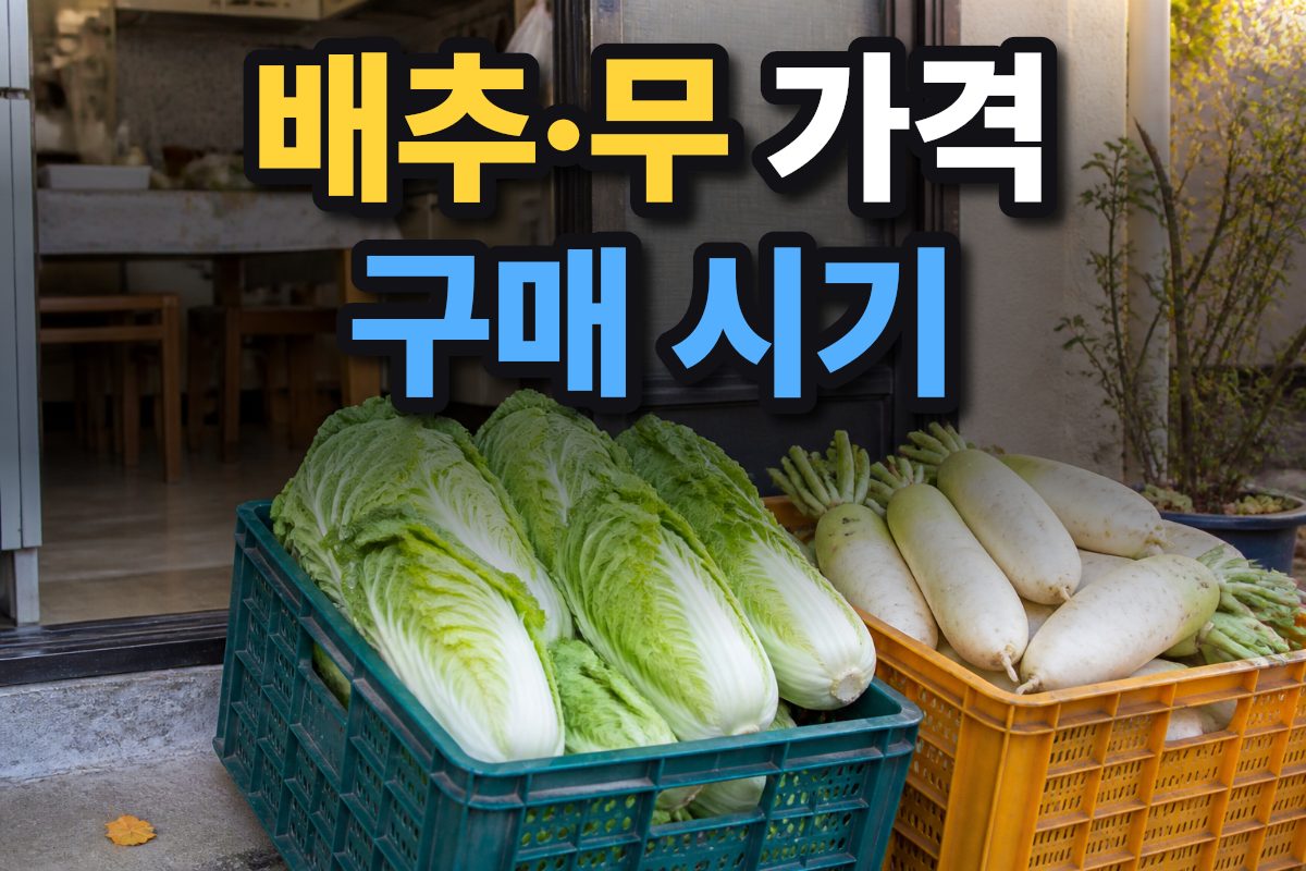 가정에서 김장 재료로 준비할 배추와 무가 나란히 놓여 있습니다.
