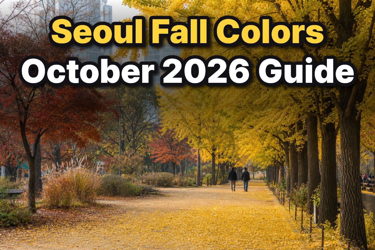 Yellow ginkgo trees arch over a walking path in Seoul Forest in autumn.