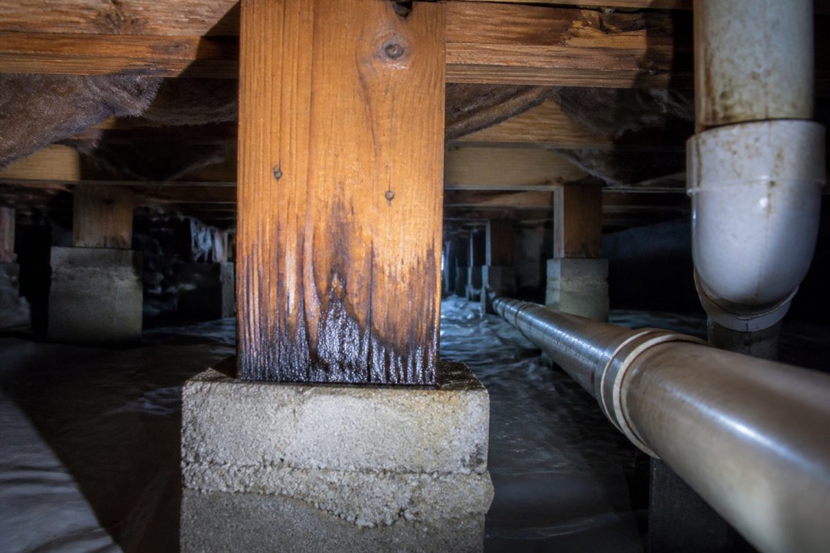 A flashlight illuminates crawl space framing and a pipe during a moisture inspection.