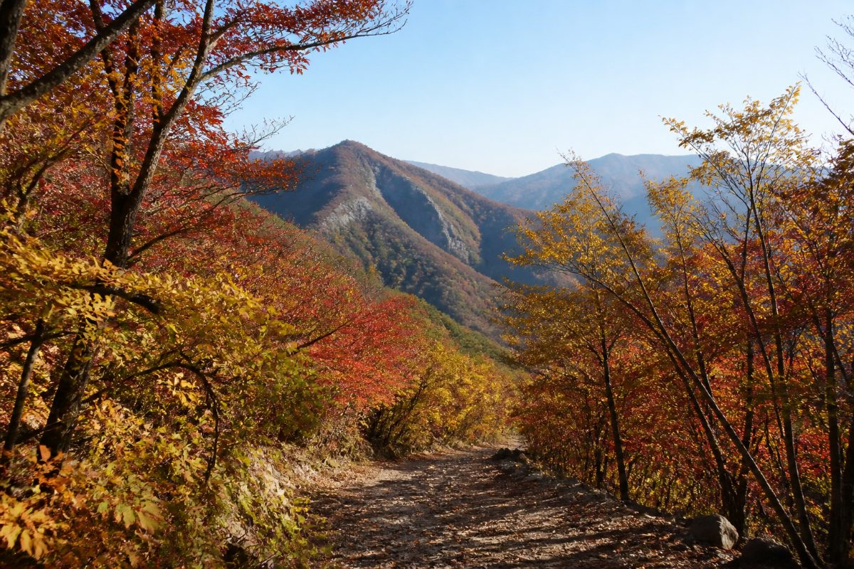 맑은 가을날 단풍으로 물든 산길과 멀리 이어지는 산 능선이 보입니다.