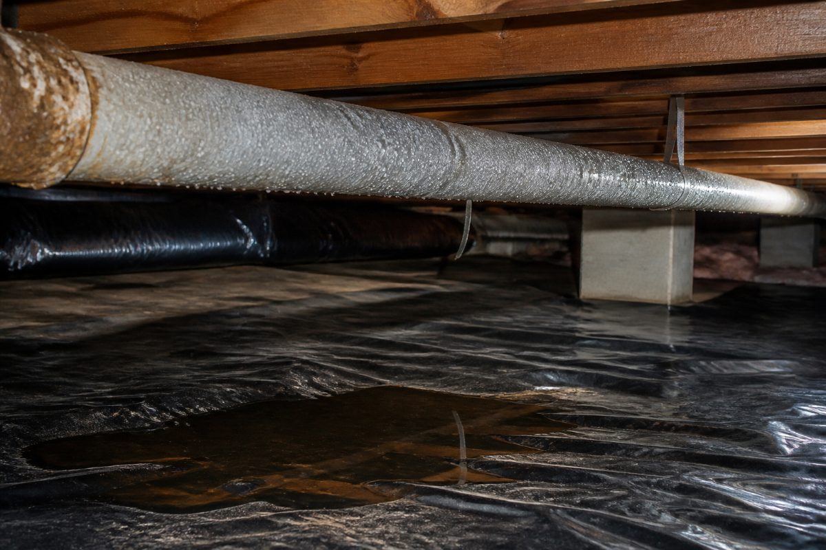 Condensation on a crawl space pipe and standing water on the vapor barrier indicate moisture concerns.