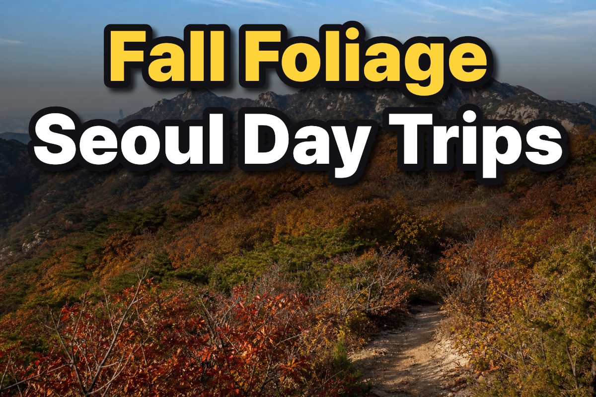 Autumn-colored forest surrounds the granite peaks of Bukhansan National Park near Seoul.