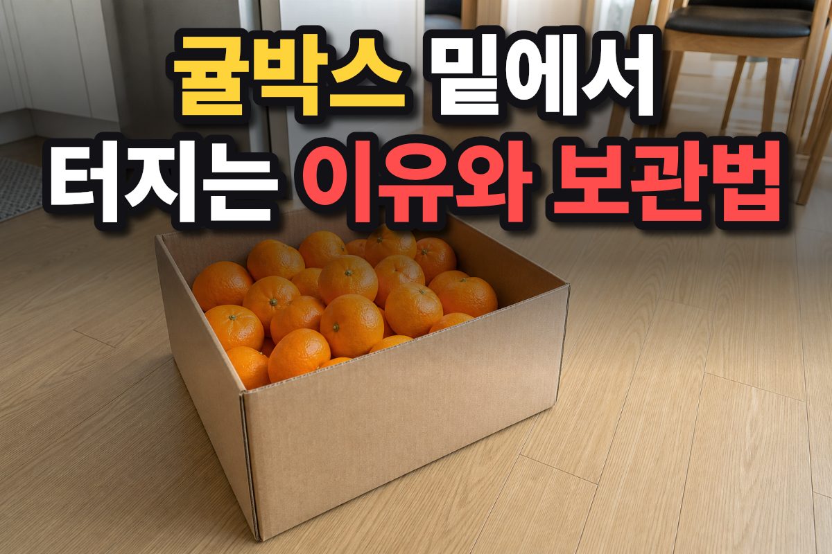 거실 바닥에 놓인 신선한 귤이 가득 담긴 상자