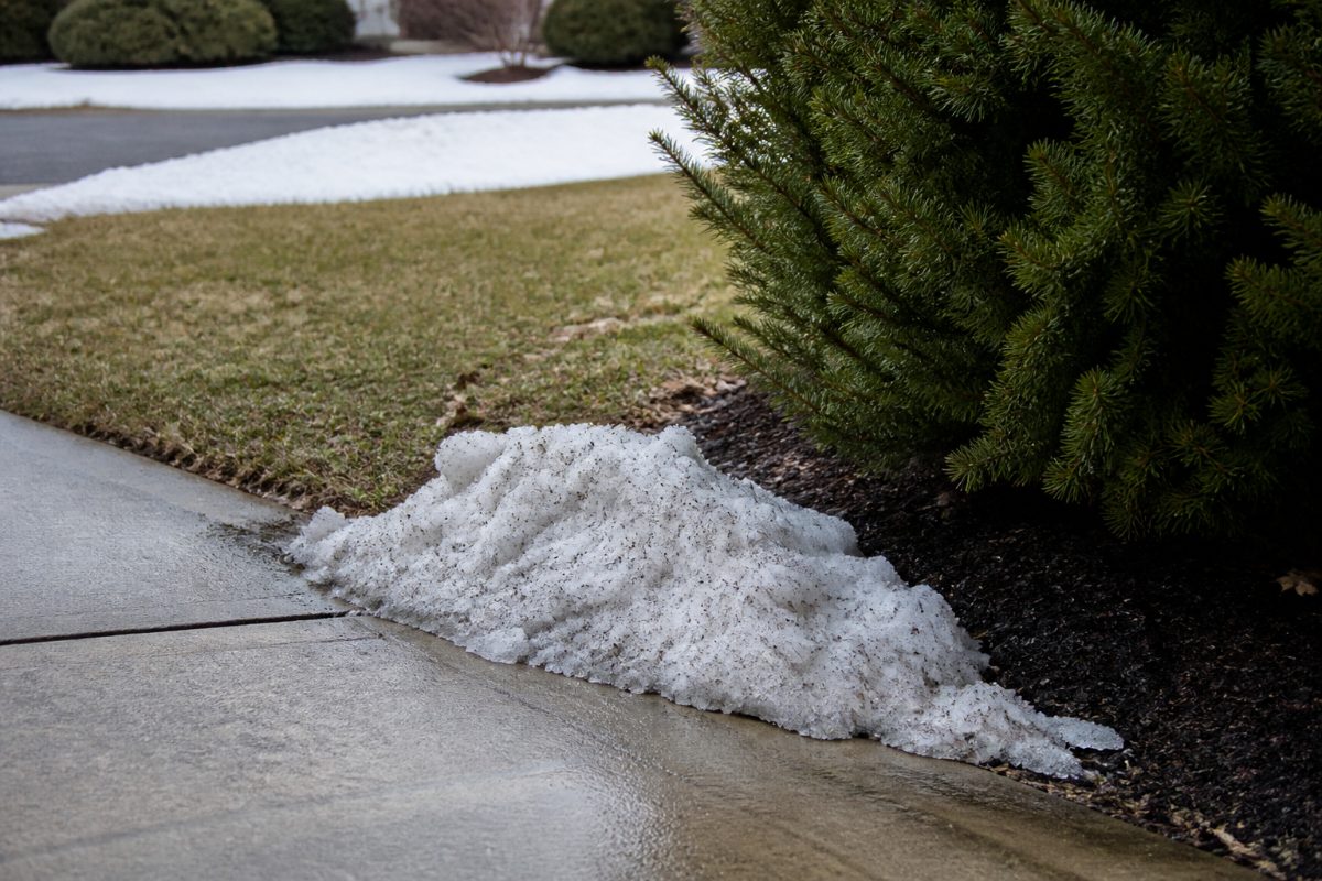 Salty slush is kept away from the lawn and evergreen shrub beside a concrete driveway.